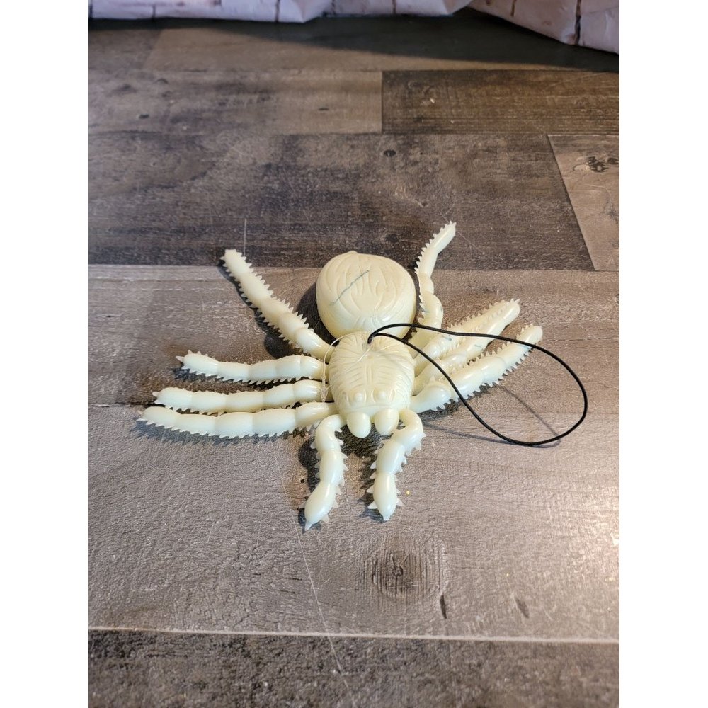 White spider rubber Halloween bug scary